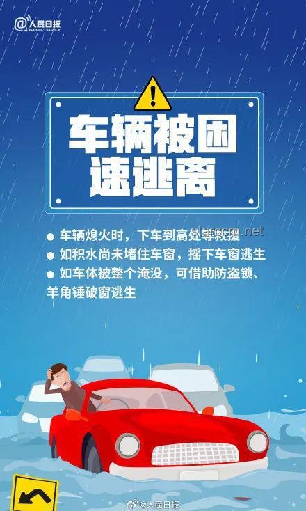 漂亮国的金融阴谋论：防范与应对实用指南