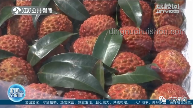 15岁少年贪食荔枝昏迷，安全享用荔枝指南